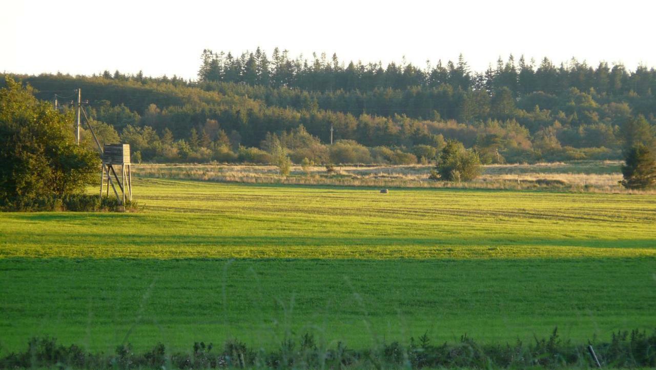 Lynggaard B&B Nibe Dış mekan fotoğraf